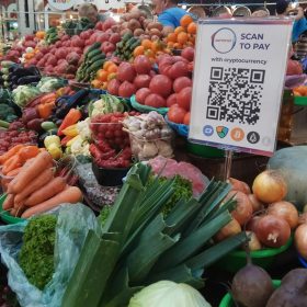 40512937_1051366271708934_1319041077155463168_n